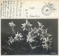 Feldpost AK  "Edelweiss"  (Ter.Str.Polizei Kp.68)         Ca. 1920 - Abstempelungen