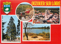 / CPSM FRANCE 45 "Ouzouer Sur Loire " - Ouzouer Sur Loire