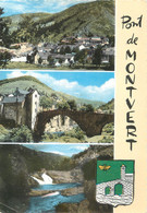 / CPSM FRANCE 48 "Pont De Montvert" - Le Pont De Montvert