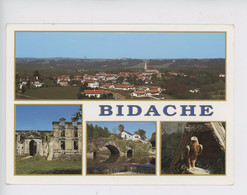 Bidache, Multivues, Générale, Château De Grammont,pont Moulin De Roby, Aigle, Cité Des Aigles Volerie Di Château - Bidache