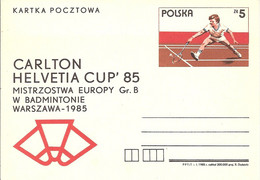 POLOGNE POLEN POLSKA Court Raquette BALLE CARLTON HELVETIA CUP MISTRZOSTWA BADMINTONIE BADMINTON Badmintone FEDERBALL - Bádminton