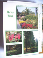 Nederland Holland Pays Bas Haren Met Hortus Botanicus - Haren
