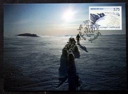 Greenland    1999     Minr.343   Maximum Cards  ( Lot 315 ) - Cartes-Maximum (CM)