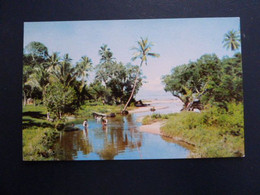 Z33 - Fidji - Where Stream Meets Sea - Fiji - Fidji