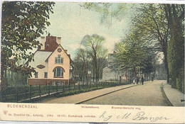 Bloemendaal , Bloemendaalsche Weg  (Bloemendaalseweg), Willemshoeve - Bloemendaal