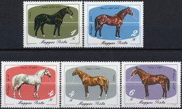 1985 HUNGARY UNGARN HONGRIE Mi 3766-3770 MNH HORSE CHEVAL PFERD CABALLO COMPLETE SET 5 STAMPS - Altri & Non Classificati