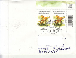 AUSTRIA 2020: MUSHROOMS On Cover CIRCULATED TO ROMANIA - Registered Shipping! - 2011-2020 Afgestempeld