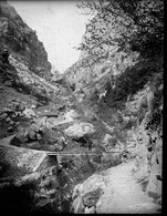 V0479 - ALPES MARITIMES - Prés De Grasse - Gorges Du Loup - Plaques De Verre