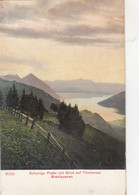 1629) SCHYNIGE Platte Mit Blick Auf THUNERSEE - BREITLAUENEN - LITHO Alt !! - Lauenen