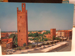 Cartolina Rovigo Panorama Due Torri 1972 - Rovigo