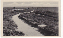 Putten Fietspad Naar Staverden M1917 - Putten