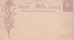 NEW SOUTH WALES   ENTIER POSTAL/GANZSACHE/POSTAL STATIONARY CARTE - Cartas & Documentos