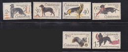 Czechoslovakia 1965 Dog Chien MNH 6V - Andere & Zonder Classificatie