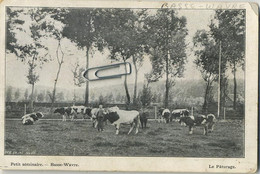 Basse-Wavre :  Petit Séminaire   ( Koe - Vache ) - Wavre