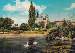Germany -  Postcard Unused  - Paderborn - In Den Paderanlagen - Paderborn