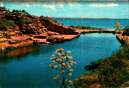 Delcampe - 38578) CARTOLINA DI MARSALA-ISOLA DI MOZIA-PORTO FENICIO-NUOVA - Marsala