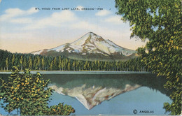 USA Ca. 1940 Very Fine Mint Coloured Pc „Mt. Hood From Lost Lake, Oregon“ - Sonstige & Ohne Zuordnung