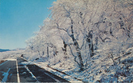 USA 1970 VFU Colpc Blue Ridge Parkway Nr Mount Mitchell In Winter North Carolina - Other & Unclassified