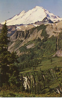 USA 1970 Superb Used Coloured Pc „Mount Baker From Table Mountain, WASHINGTON - Altri & Non Classificati