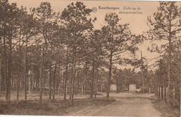 Keerbergen : Zicht Op De Dennenbosschen 1937 - Keerbergen