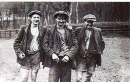 "Coal Strike, 1912" Three Pony Boys, Miners, Pit Ponies, Coal Miners' Bill [CPM Nostalgia Postcard Reproduction Card] - Streiks