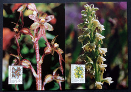 Greenland    1995 Arctic Orchids  Minr. 256-57  Maximum Cards  ( Lot 429 ) - Cartes-Maximum (CM)