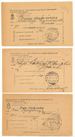 UNGARN 1897/1900, 3 Versch. Einlieferungsscheine Alle M. Stempel "PANCSOVA" - Cartas & Documentos