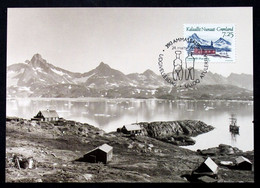 Greenland    1994  Ammassalik Minr. 245  Maximum Cards  ( Lot 430 ) - Cartes-Maximum (CM)