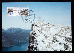 Greenland    1994   Minr. 246  Maximum Cards  ( Lot 430 ) - Maximumkaarten