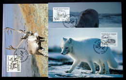 Greenland    1993   Minr. 239-41  Maximum Cards  ( Lot 430 ) - Maximumkarten (MC)