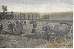 63 - CLERMONT FERRAND - Récolte Des Pommes De Terre- Rare CPA Colorisee  L'hirondelle Attelage De Boeufs 2 Scans - Paysans