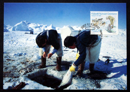 Greenland    1992   Minr. 219  Maximum Cards  ( Lot 431 ) - Maximumkaarten