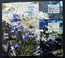 Greenland    1990 FLOWERS Minr.205-07  Maximum Cards  ( Lot 431 ) - Maximumkarten (MC)
