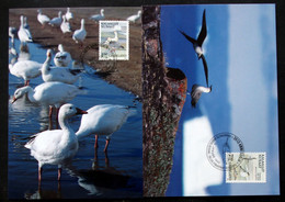 Greenland    1990 BIRDS   Minr.199-200  Maximum Cards  ( Lot 431 ) - Cartes-Maximum (CM)