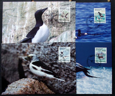 Greenland    1989 BIRDS   Minr.191-94  Maximum Cards  ( Lot 431 ) - Maximumkarten (MC)
