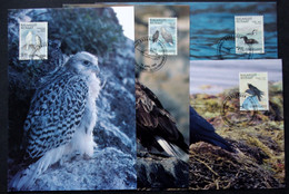 Greenland    1988 BIRDS   Minr.181-84  Maximum Cards  ( Lot 431 ) - Cartes-Maximum (CM)