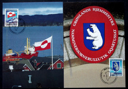 Greenland    1989    Minr.195-96  Maximum Cards  ( Lot 431 ) - Maximumkarten (MC)