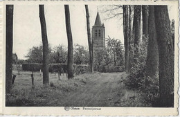 Olmen.   -   Pastorijstraat.   -   1952   Naar   Linkebeek - Balen