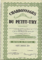 CHARBONNAGES DU PETIT - TRY -LAMBUSART -BELGIQUE - 1944 - Mijnen