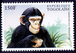 Common Chimpanzee, Chimpanzee Pan Troglodytes, Monkey, Togo 1996 MNH, Wild Animals (**) - Schimpansen