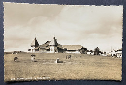 Saignelegier Le Halle-Cantine - Saignelégier