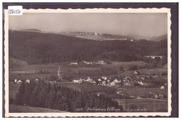 DISTRICT D'ORON - PALEZIEUX VILLAGE - TB - Palézieux