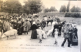 985 Plouha ( C Du N) La Foire Aux Socialistes - Plouha