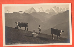 ZMB-02 Berner Oberland Bei Beatenberg, Kuhherde . Nicht Gelaufen. Wehrli 27360 - Beatenberg