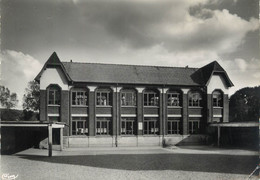 / CPSM FRANCE 62 "Lumbres, L'école Des Garçons" - Lumbres