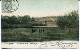 CPA - Carte Postale - Belgique - Tieghem - Panorama Du Village - 1904 (AT16445) - Anzegem