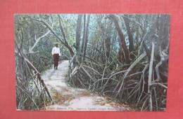 Bamboo Twister Jungle Road  Palm Beach - Florida    Ref 4808 - Palm Beach