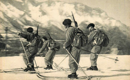 Militaria * Régiment * éclaireurs Skieurs * Ski Skieur Sports D'hiver - Regimenten