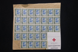JORDANIE - Affranchissement En Bloc De 30 Exemplaires Sur Fragment Pour La Croix Rouge - L 93355 - Jordan