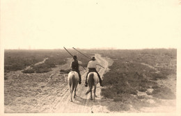 Arles * Carte Photo * Guardians * Photographe Georges - Arles